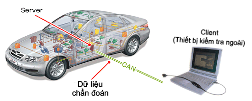 CAN P4-pic5