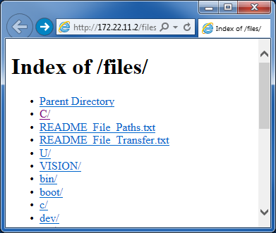 Screenshot of browser showing Academic RIO Device file index